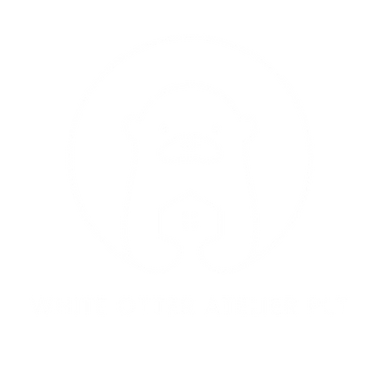 White Otter Atelier
